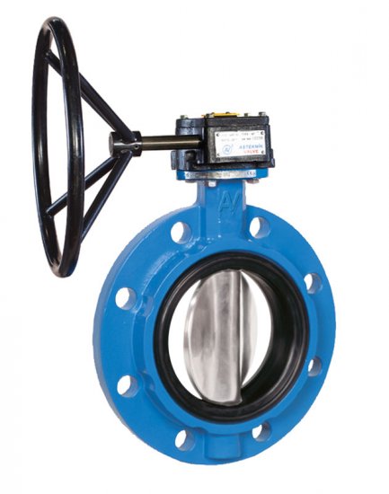 Type 1130 mono-flanged concentric butterfly valve
