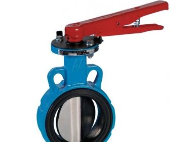Concentric butterfly valves